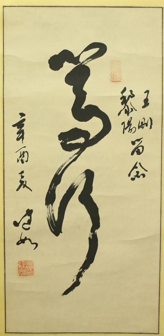 魏陽陽