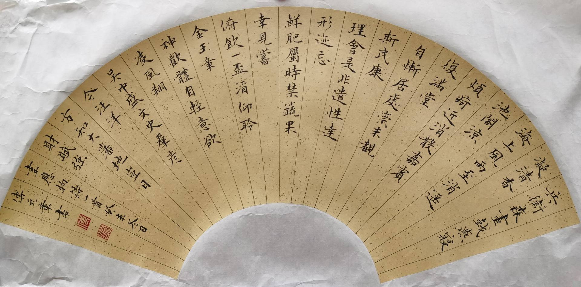魏陽陽