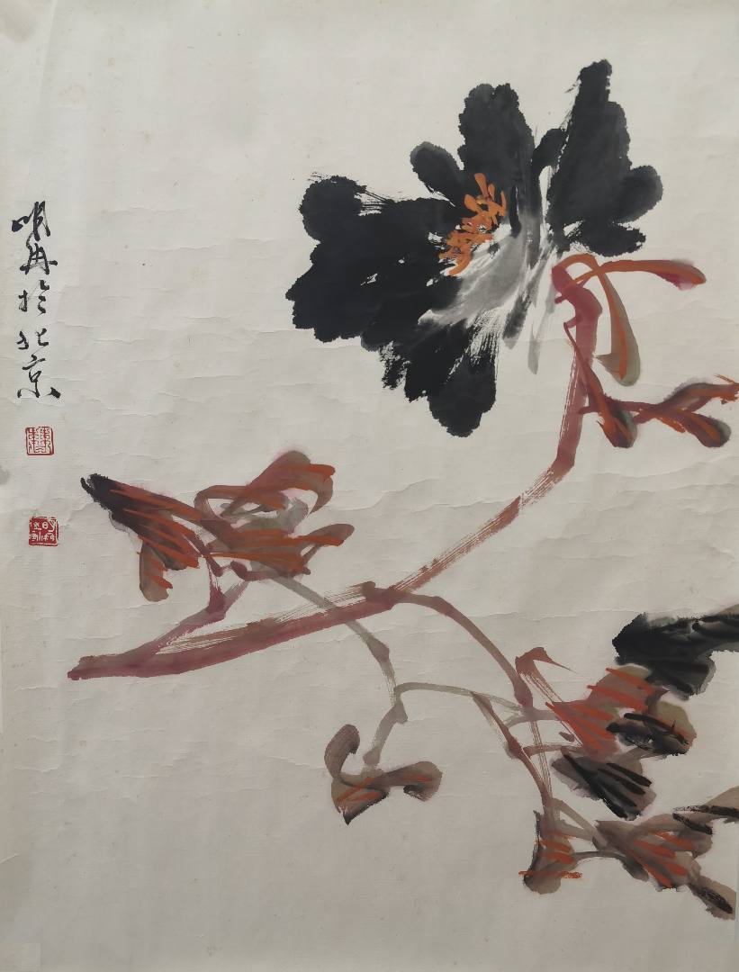 魏陽陽