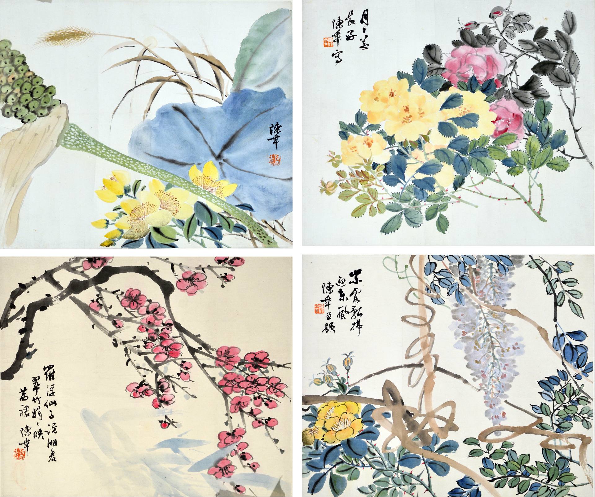 魏陽陽