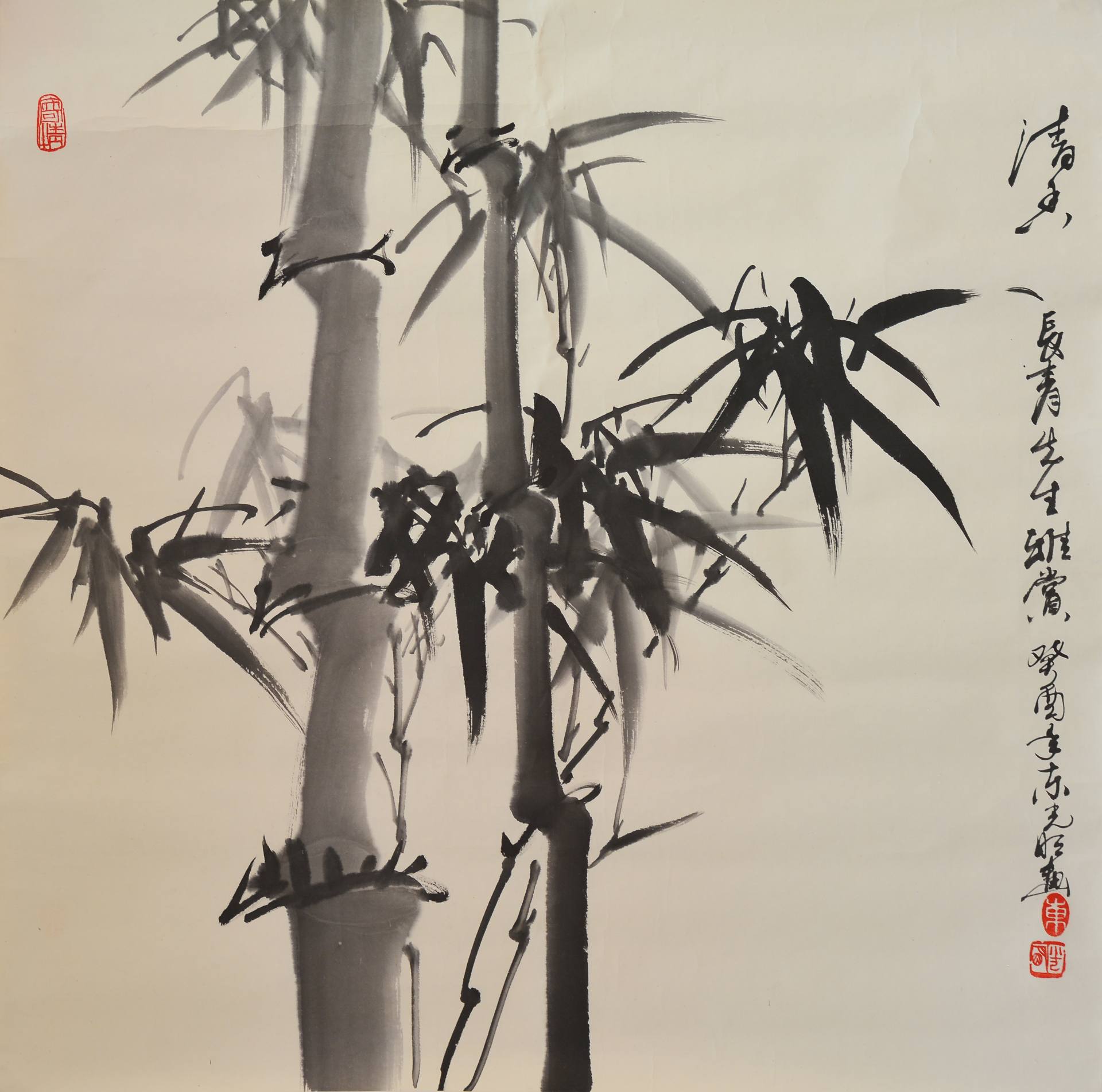 魏陽陽