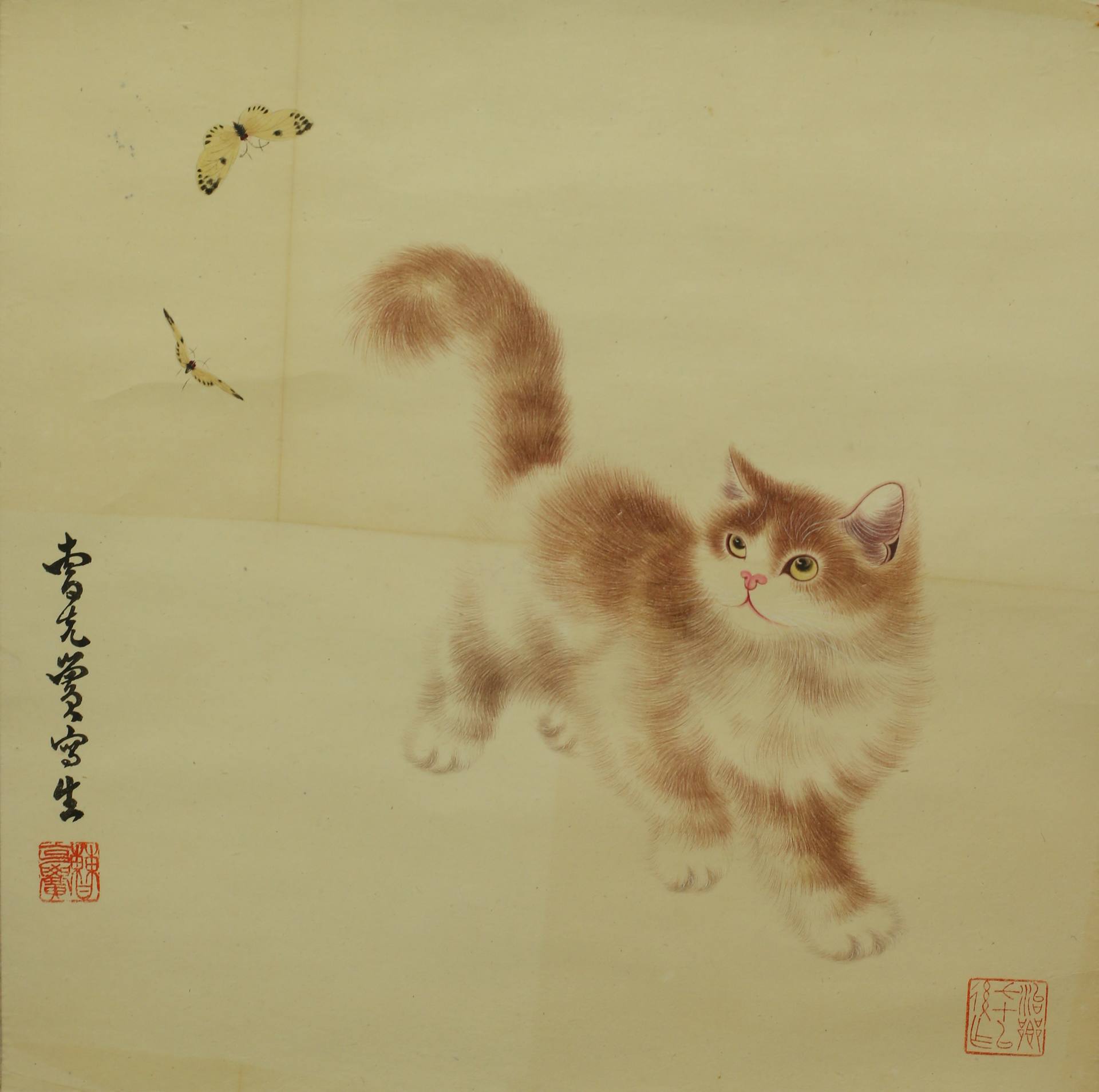 魏陽陽