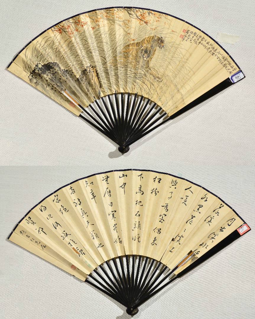 魏陽陽