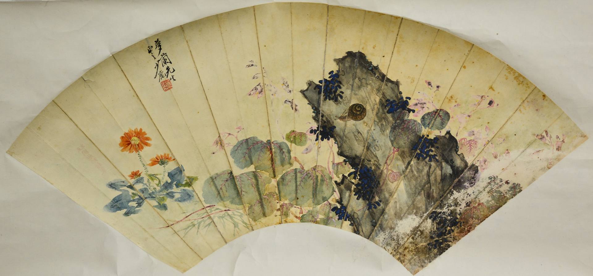 魏陽陽
