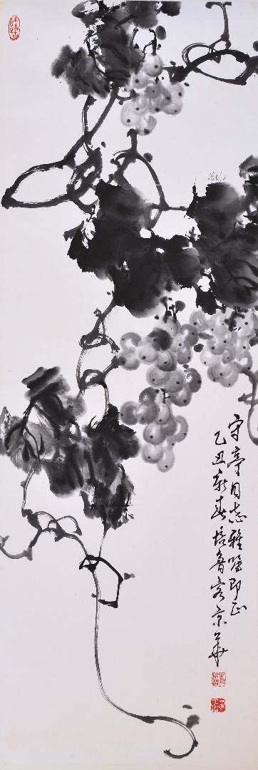 魏陽陽